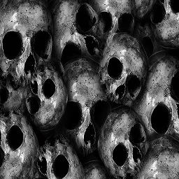 Piles of Rotted Bodies cover