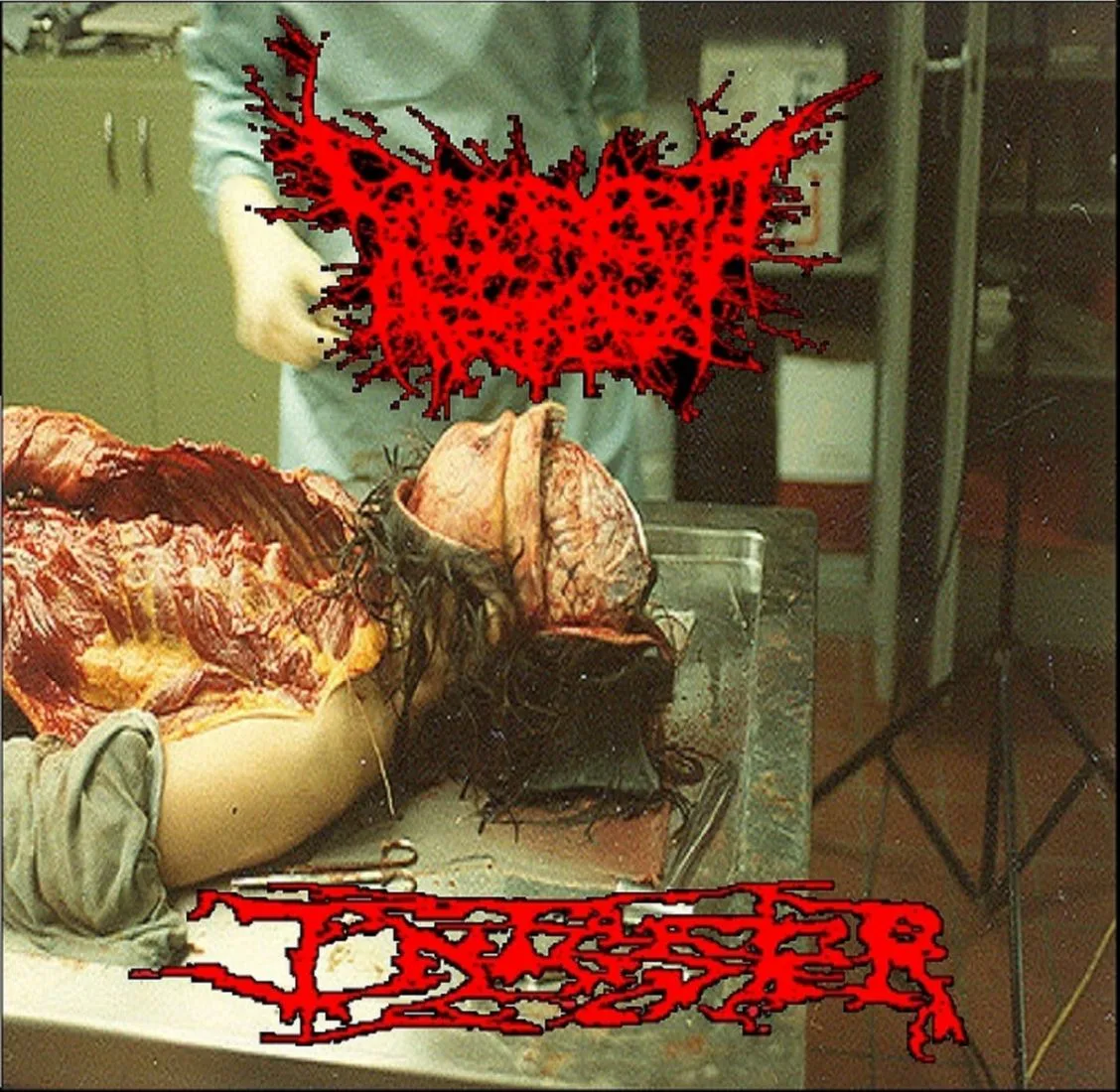 Decrepit Artery / Infester cover