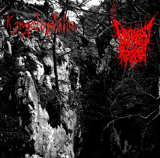 Kryptophilia / Decrepit Artery cover