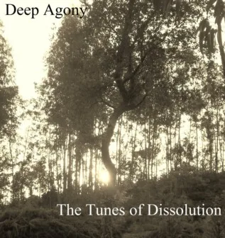 The Tunes of Dissolution cover