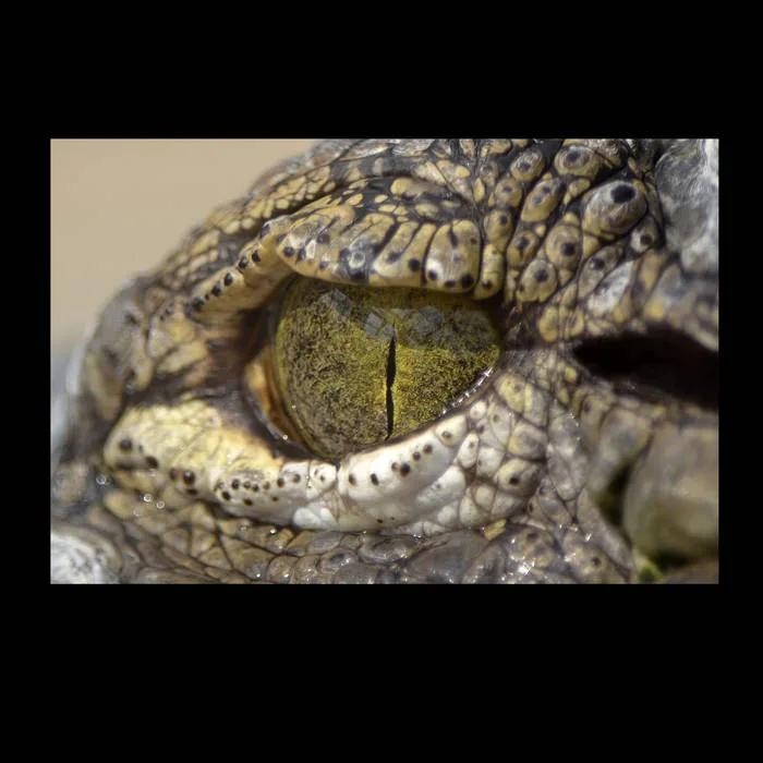 Acoustic Metal cover