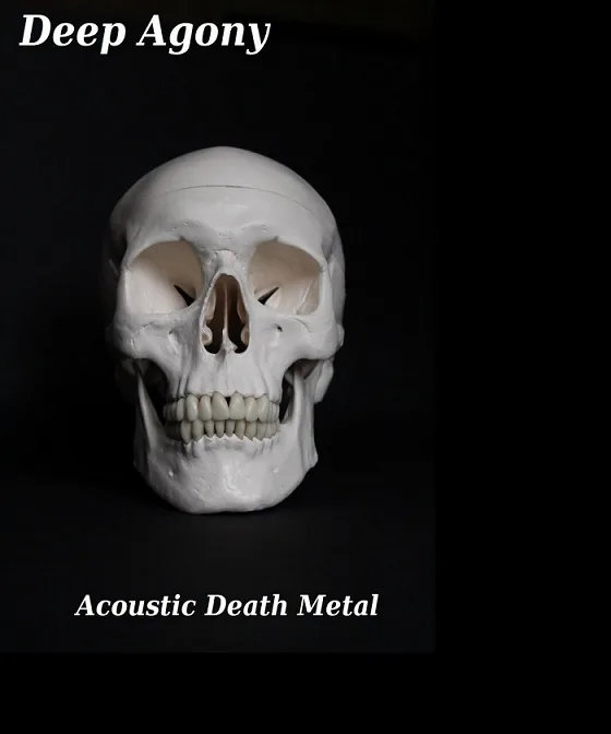 Acoustic Death Metal cover