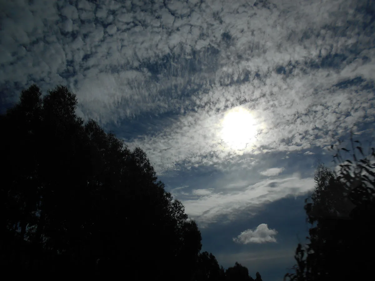 Neo Classical Guitar Solos - Vol. 2 cover