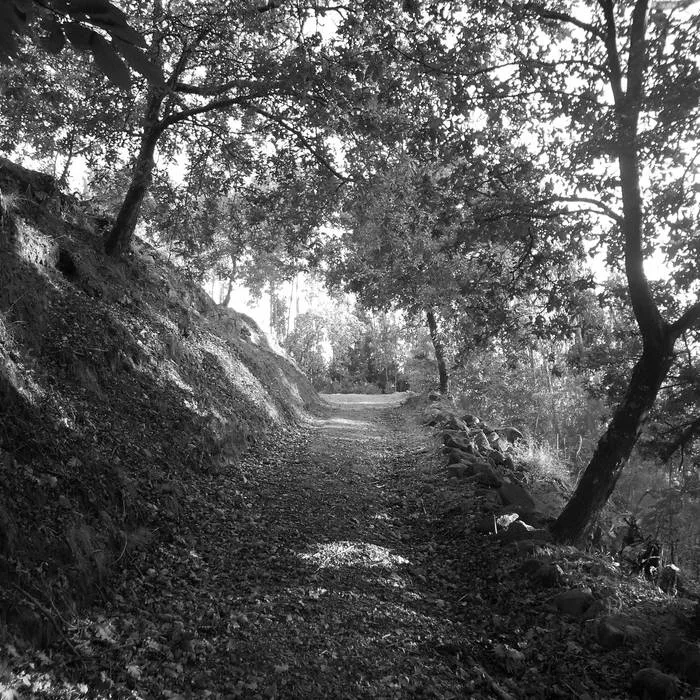 White Death - Atmospheric Black Metal cover