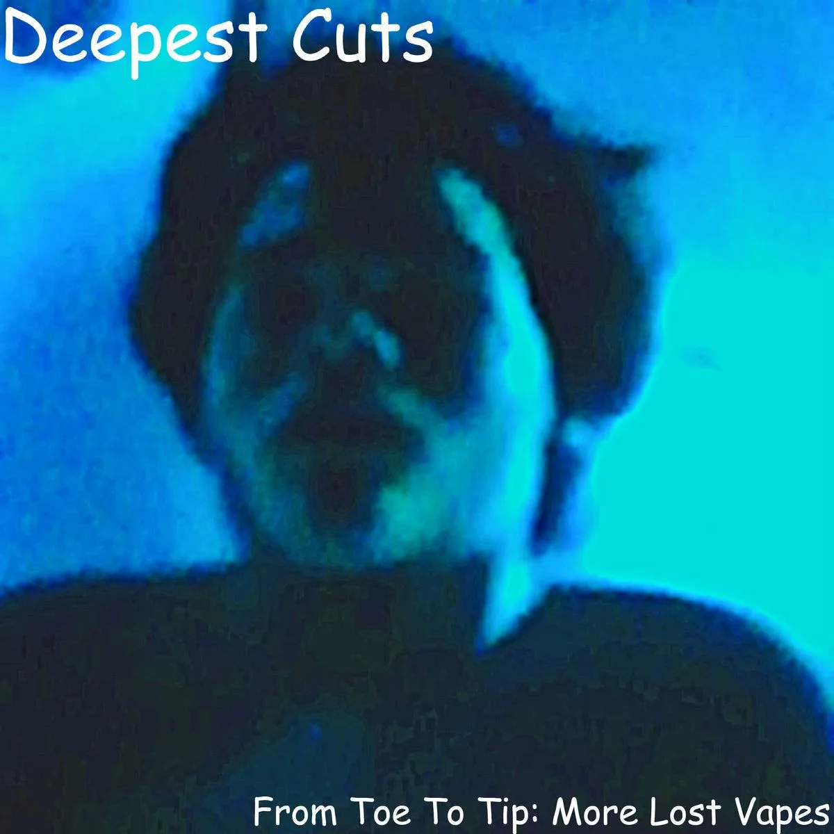 From Toe to Tip: More Lost Tapes cover