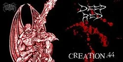 Seeds of Torment / Creation 44 cover