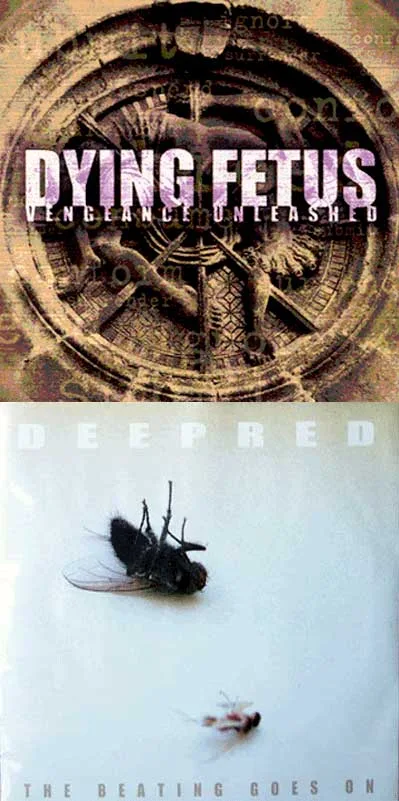 Vengeance Unleashed / The Beating Goes On cover