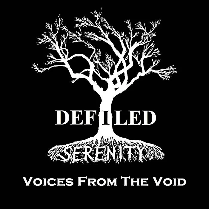 Voices from the Void cover