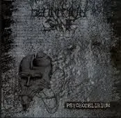 Psychodelirium cover