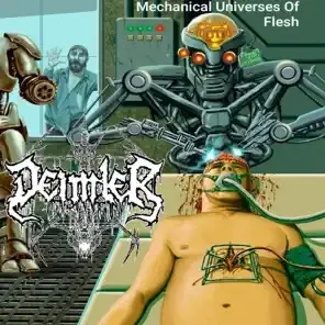 Mechanical Universes of Flesh cover