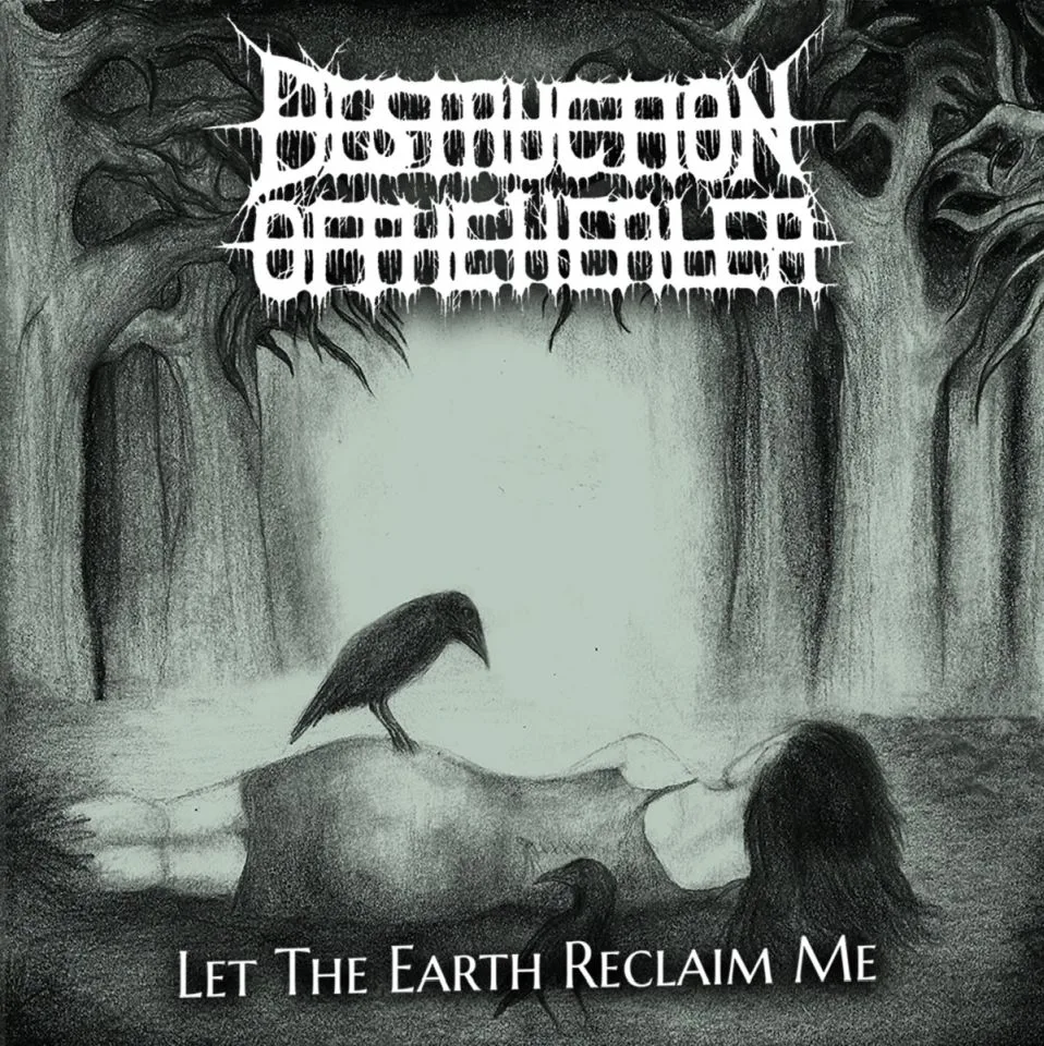 Let the Earth Reclaim Me cover