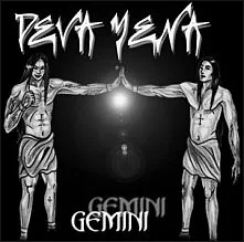 Gemini cover