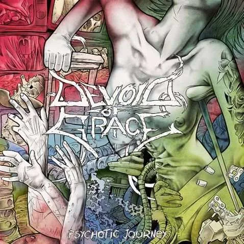 Psychotic Journey cover