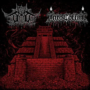 Devoid of Thought / Into Coffin cover