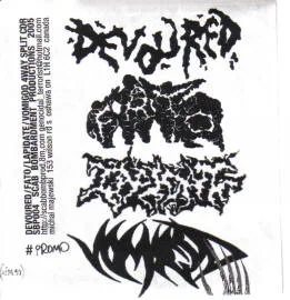 Devoured / Forever Annihilating the Obese / Lapidate / Vomigod cover
