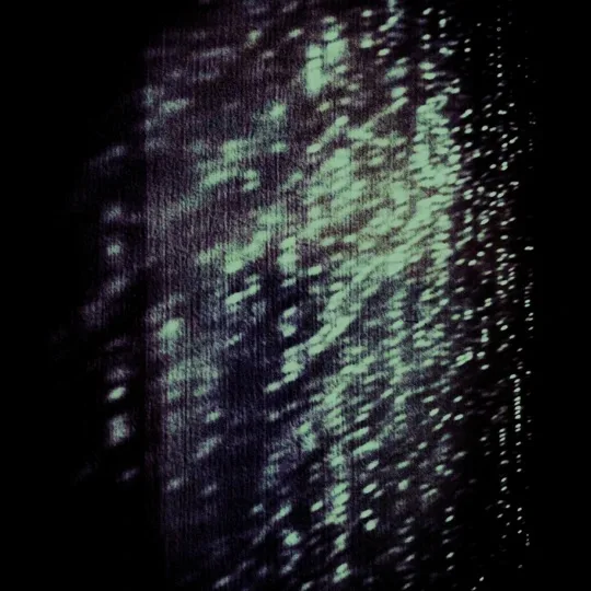 Dismal Legacy cover