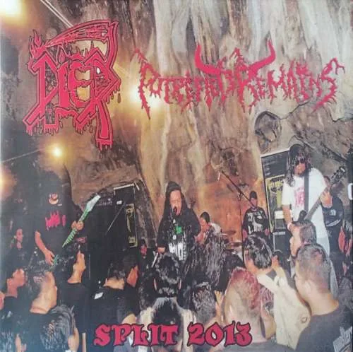 Split 2013 cover