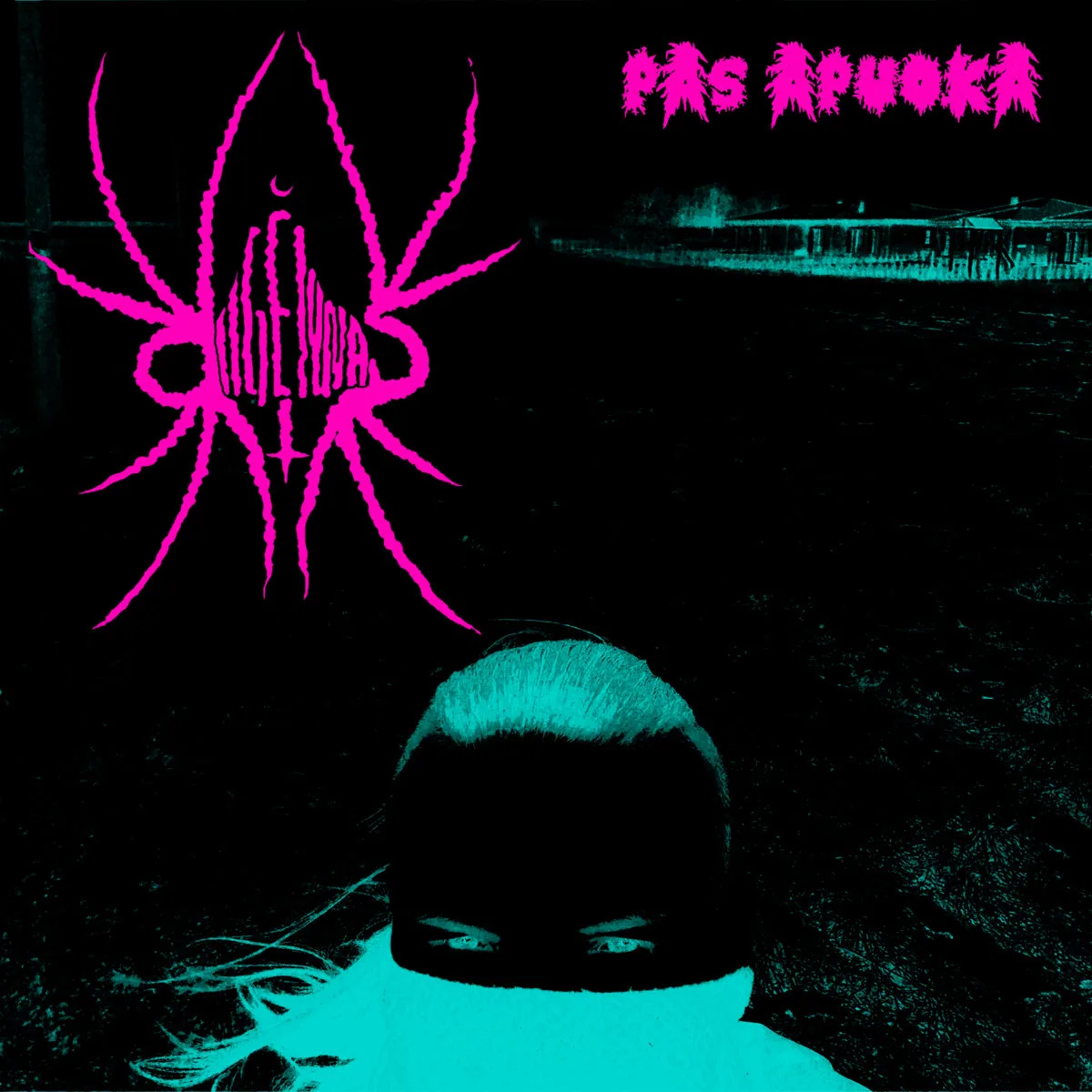 Pas apuoką cover