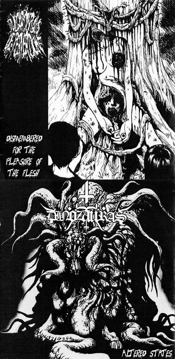 Dismembered for the Pleasure of Flesh / Altered States cover
