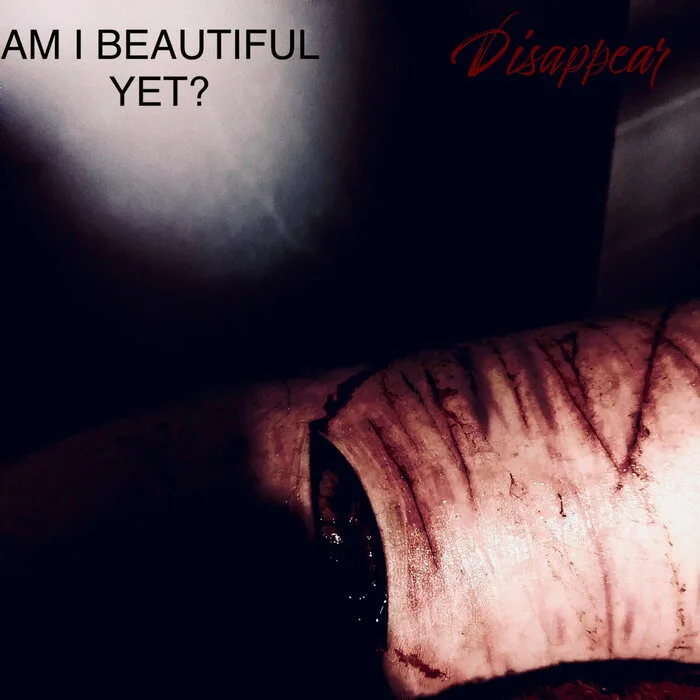 Am I Beautiful Yet? cover