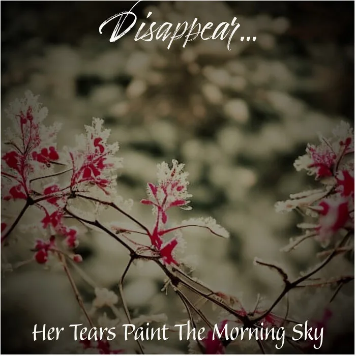 Her Tears Paint the Morning Sky cover