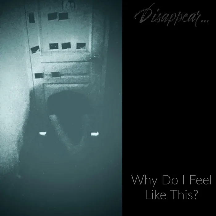 Why Do I Feel like This? cover