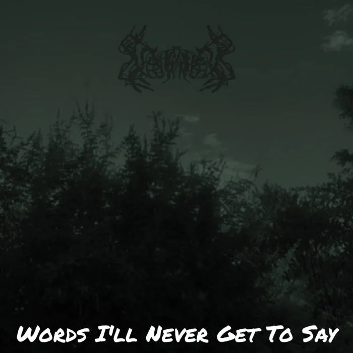 Words I'll Never Get To Say cover