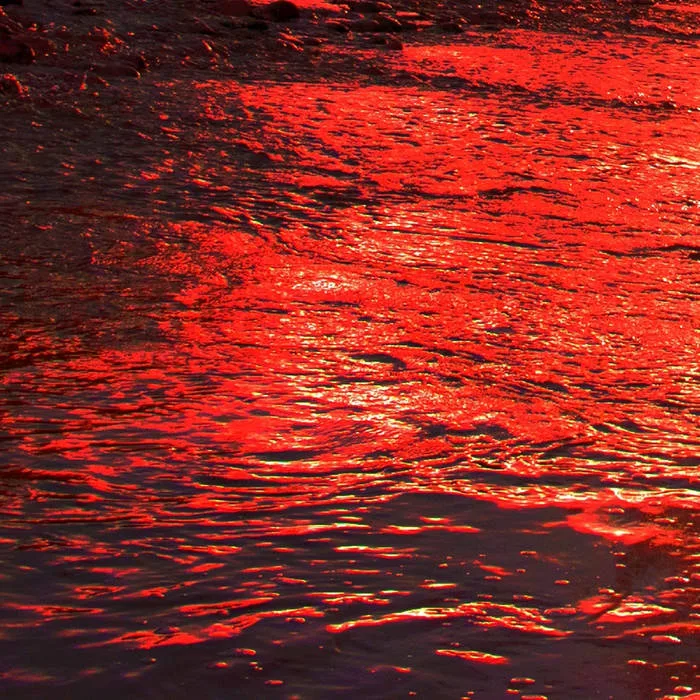 Discordant Meditation cover