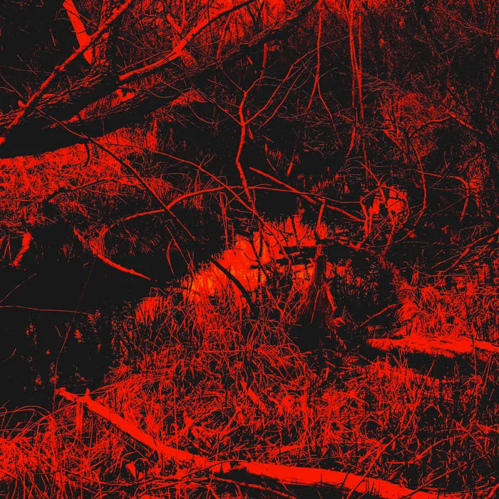 Anticosmic Womb cover