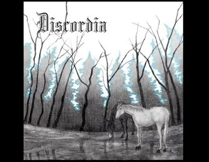 Invisible Forest cover