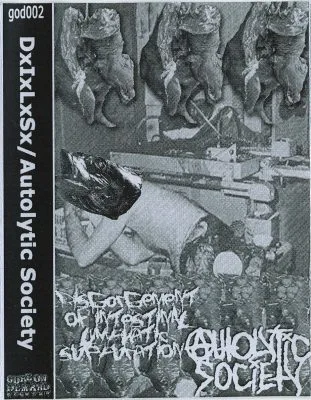 Disgorgement of Intestinal Lymphatic Suppuration / Autolytic Society cover