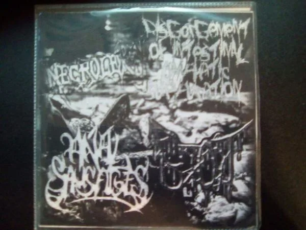 Disgorgement of Intestinal Lymphatic Suppuration / Bloody Obstetric Technology / Anal Sausages / Necrolepsy cover