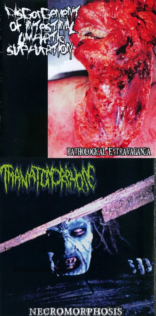 Pathological Extravaganza / Necromorphosis cover