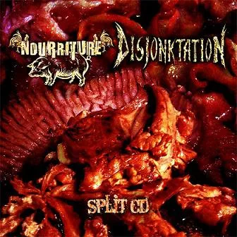 Nourriture / Disjonktation cover