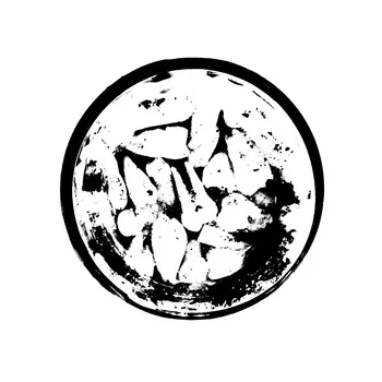 Maxilla Prolabitur cover