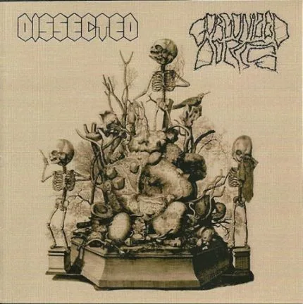 Dissected / Gorgonized Dorks cover