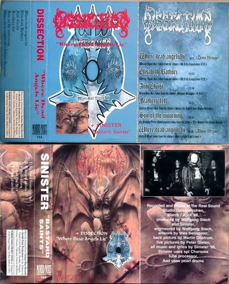 Where Dead Angels Lie / Bastard Saints cover