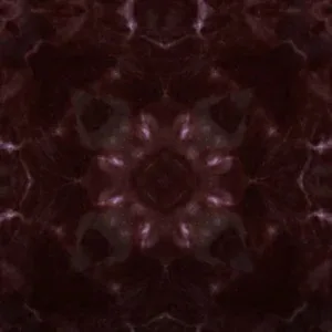 Flesh Recycler cover