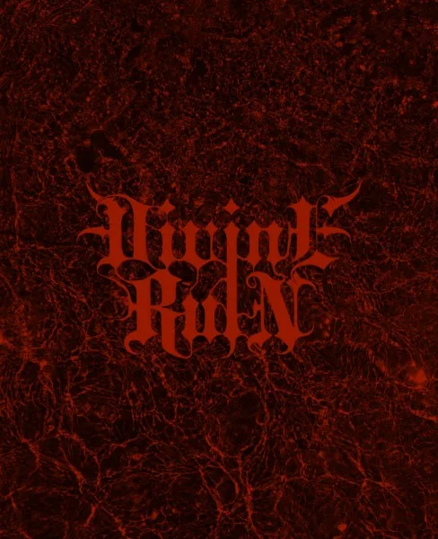 Visions of Mortality cover