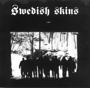 Final Frontier - Swedish Skins cover