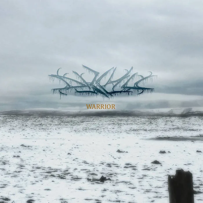 Warrior cover