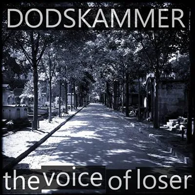 The Voice of Loser cover