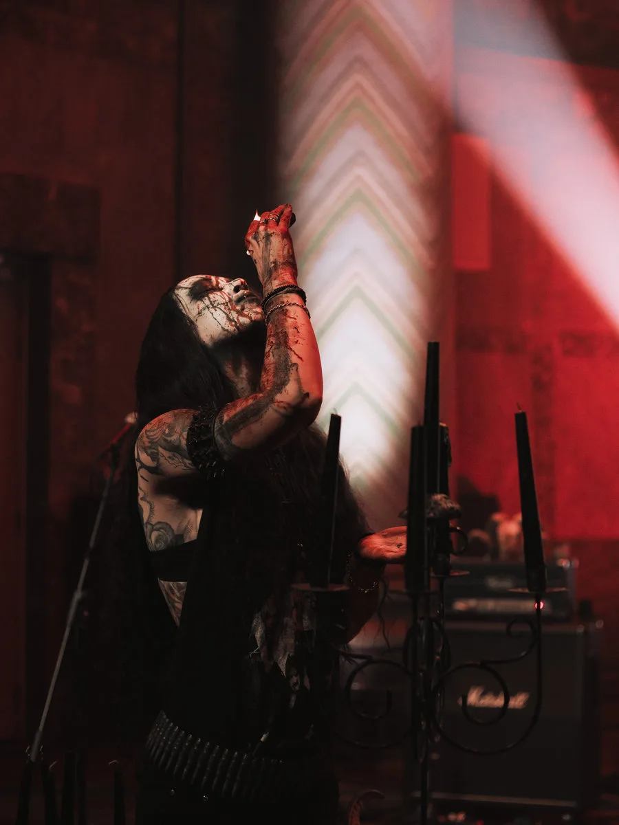 Het nieuwe licht cover