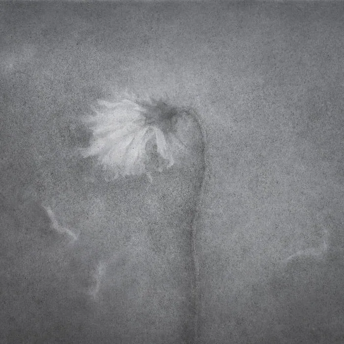 Dying Away in the Deep Fall cover