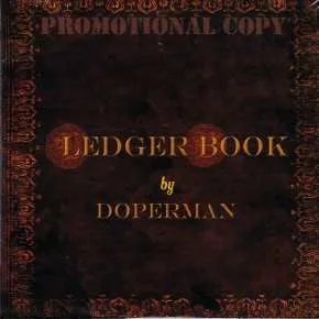 The Ledger Book cover