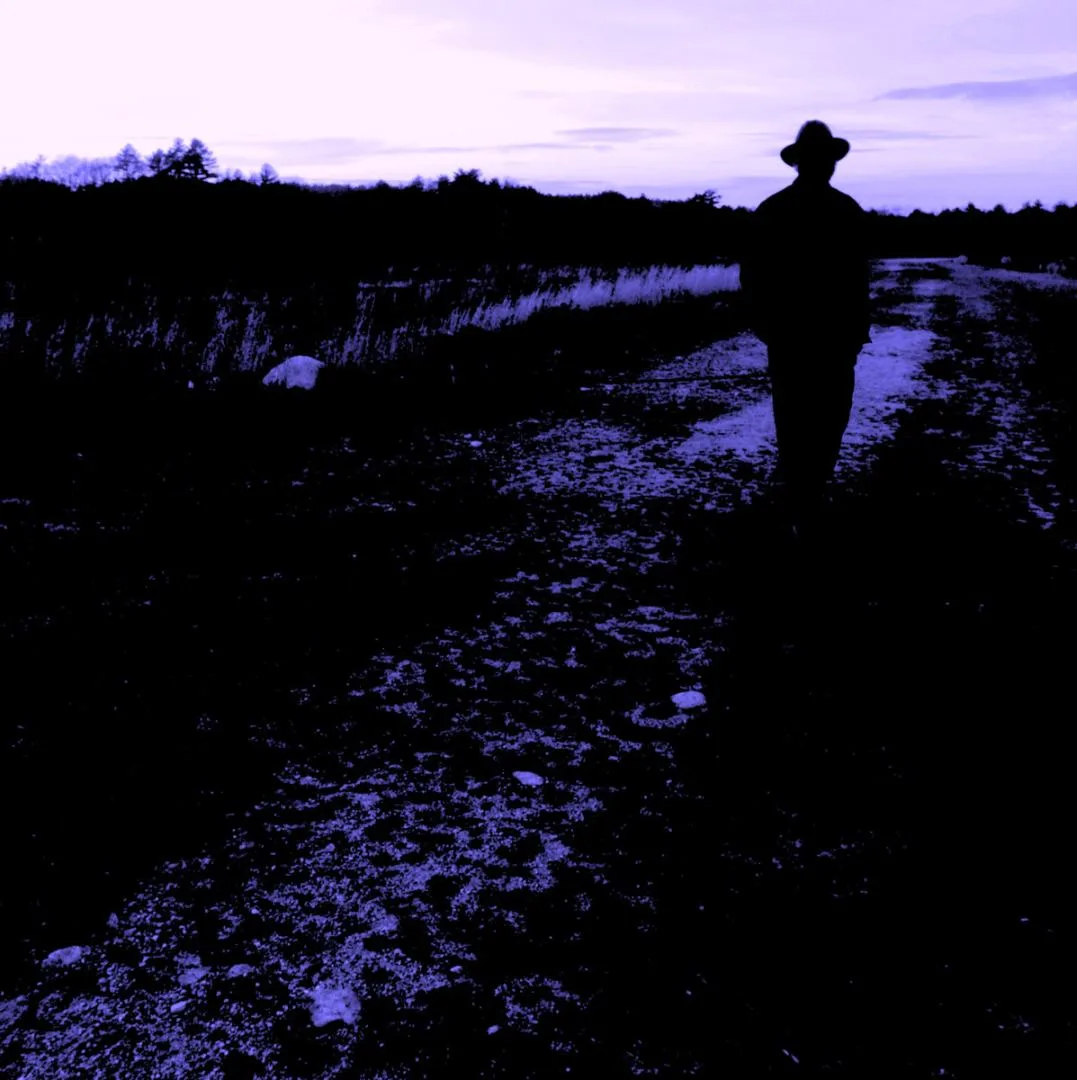 Prognosticator cover