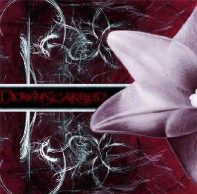The Flower and the Fall cover