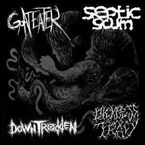 4-Way Split Fetus cover