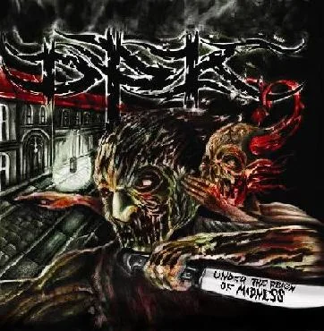 Under the Reign of Madness cover