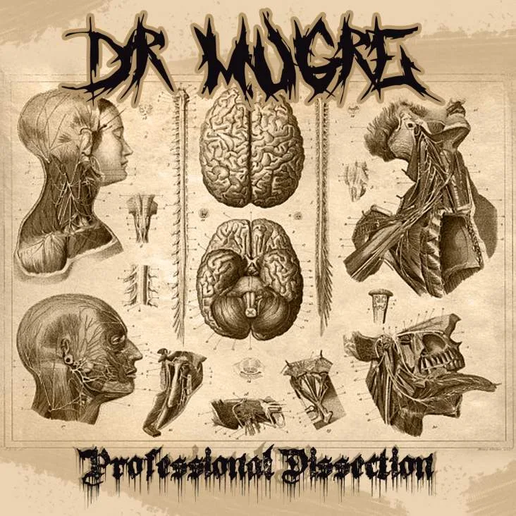 Professional Dissection cover